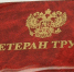Внесены изменения в порядок и условия присвоения звания «Ветеран труда» - Соцзащита населения по Старошайговскому району